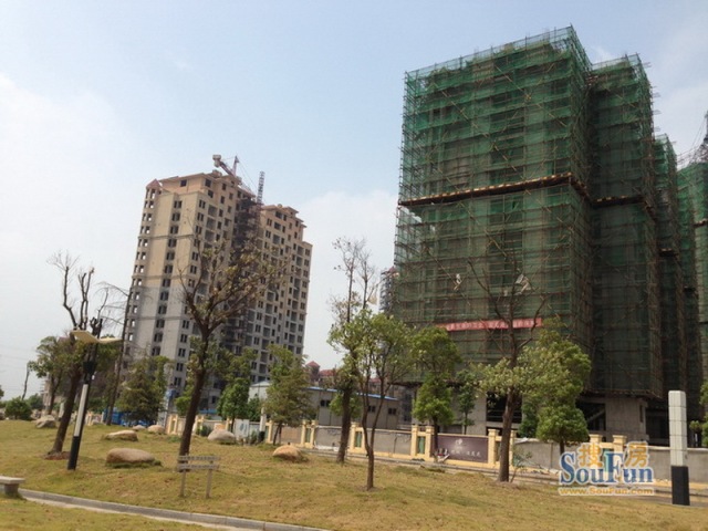 李清若馨 第12頁