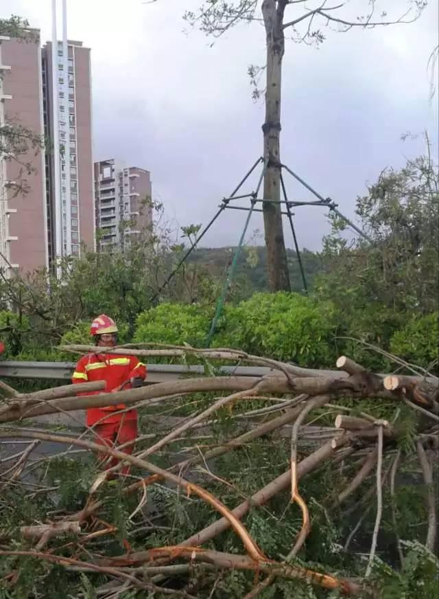 東莞臺風最新消息與圖片報道