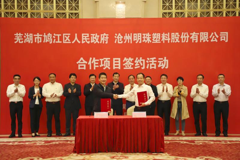 滄州明珠股票最新消息深度解析