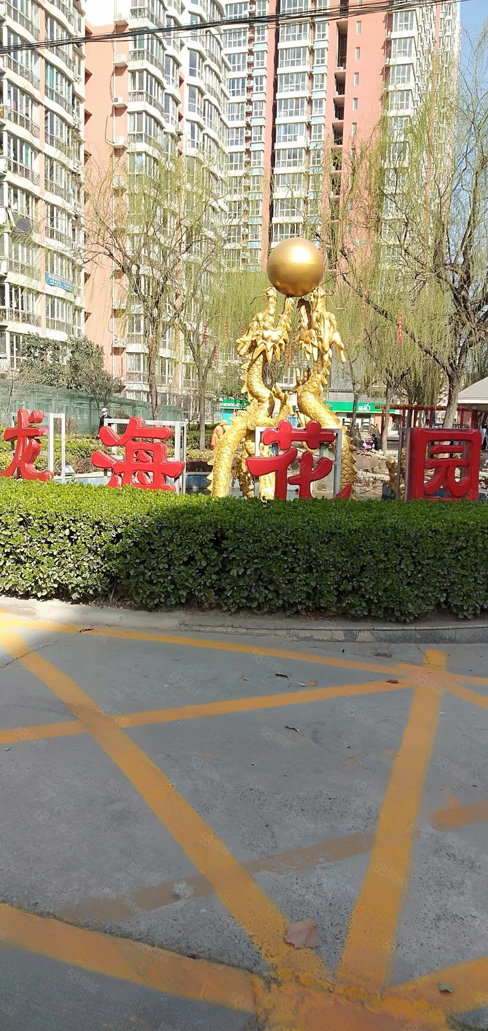龍海東園最新招聘信息及其相關解讀