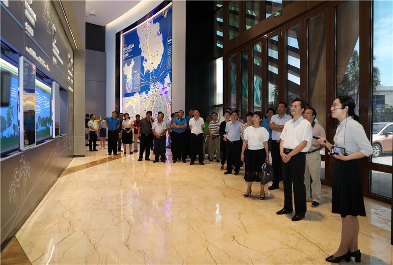 海口符革最新消息，城市發展的脈搏與未來展望