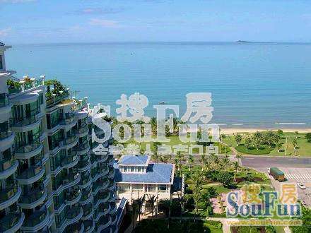 德雅灣陽光海最新樓價，市場趨勢與購房指南