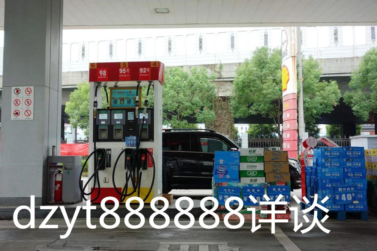 最新鄉鎮加油站出租，機遇與挑戰并存