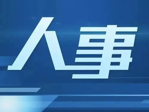 興平市最新人事任免動態(tài)