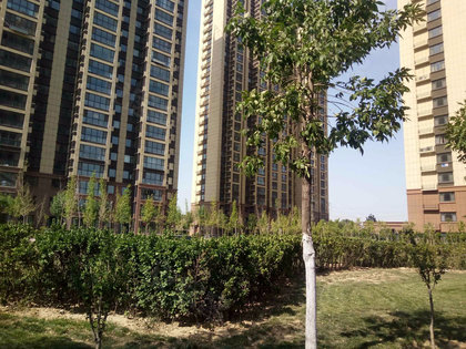 一諾陽光鑫城最新報價與市場動態分析