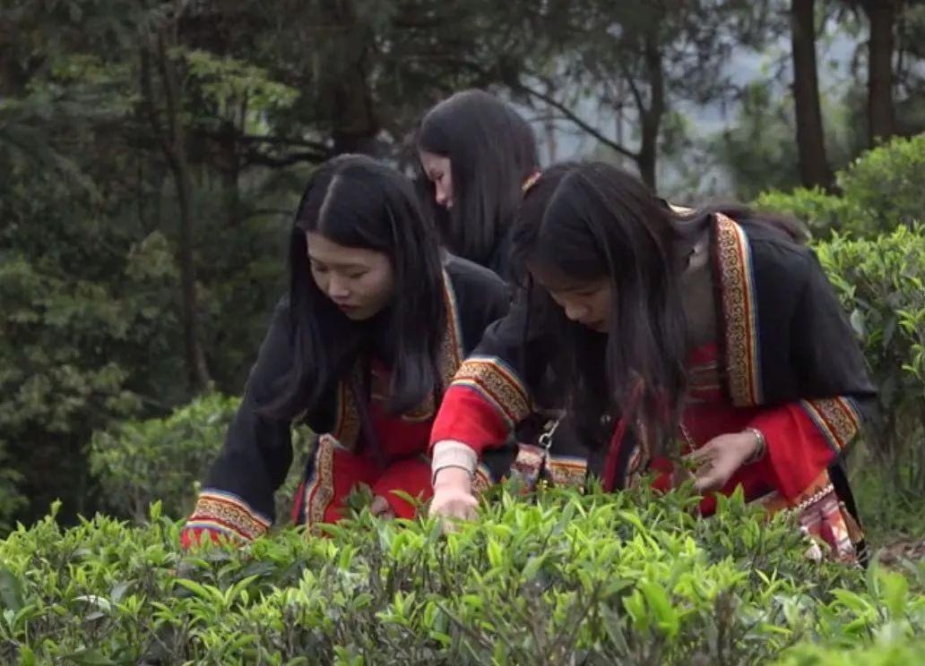 懷集網(wǎng)新聞最新消息綜述