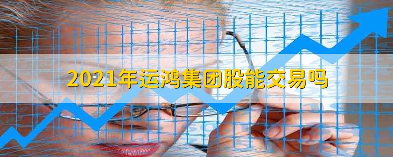 湖北運鴻公司最新消息深度解析