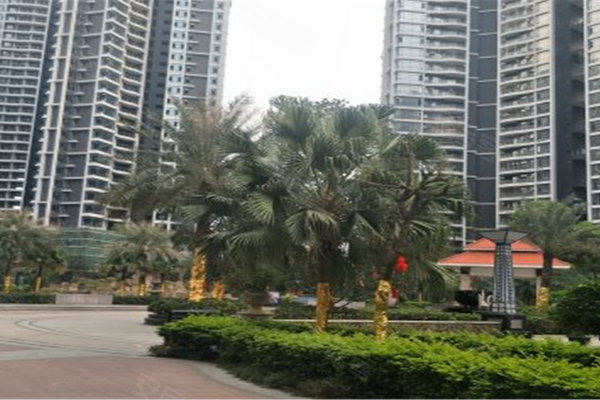 肇慶順寶天譽最新樓價，市場趨勢與購房指南