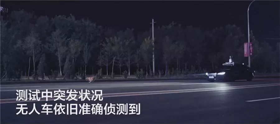 商臨程乙舒最新章節(jié)，錯綜復雜的商業(yè)世界中的新篇章
