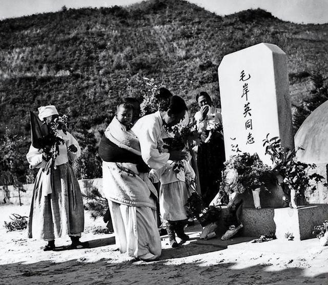 情遷搶包QQ最新版，功能與體驗(yàn)解析
