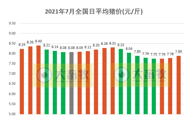 湖南今日豬價最新消息，市場走勢與影響因素分析