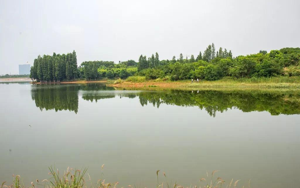 金華金滿湖最新消息，生態修復與未來發展規劃