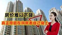 景業荔都最新消息全面解讀