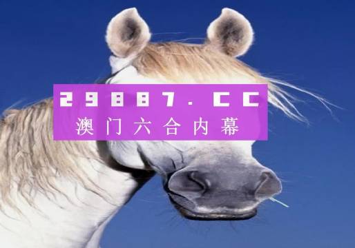 4949澳門免費精準(zhǔn)大全,客觀評估解答解釋路徑_投入集36.538