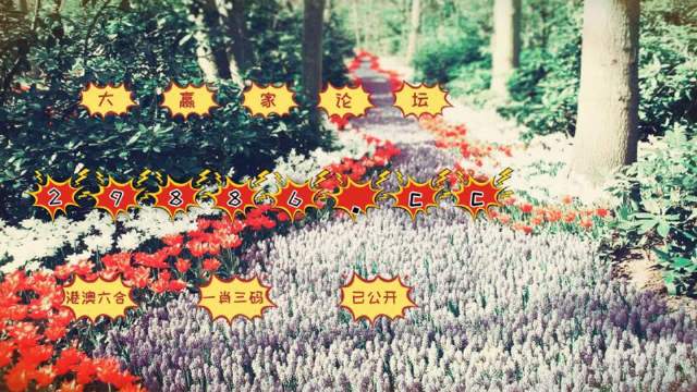 最準一肖一碼一一中一特,動態解釋詞匯_終結版64.701