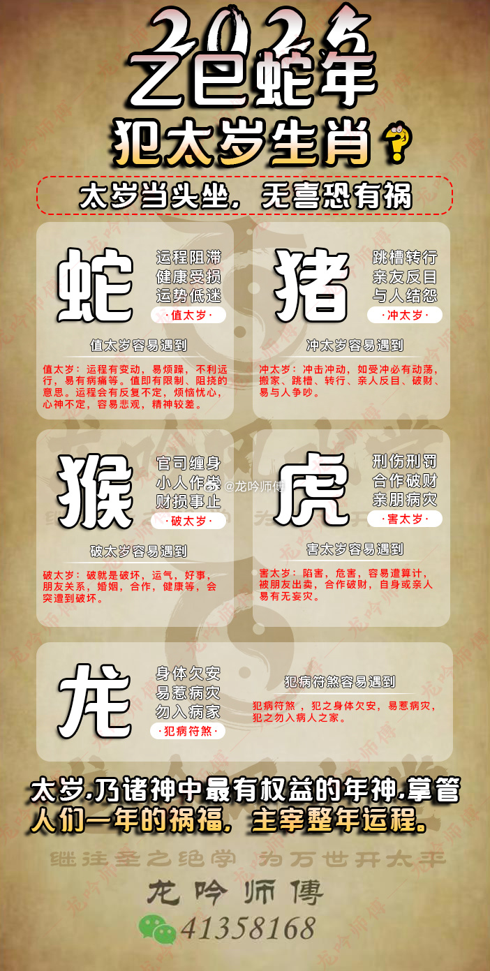 49資料網必中生肖,多樣化解答解釋方案_節能版34.407