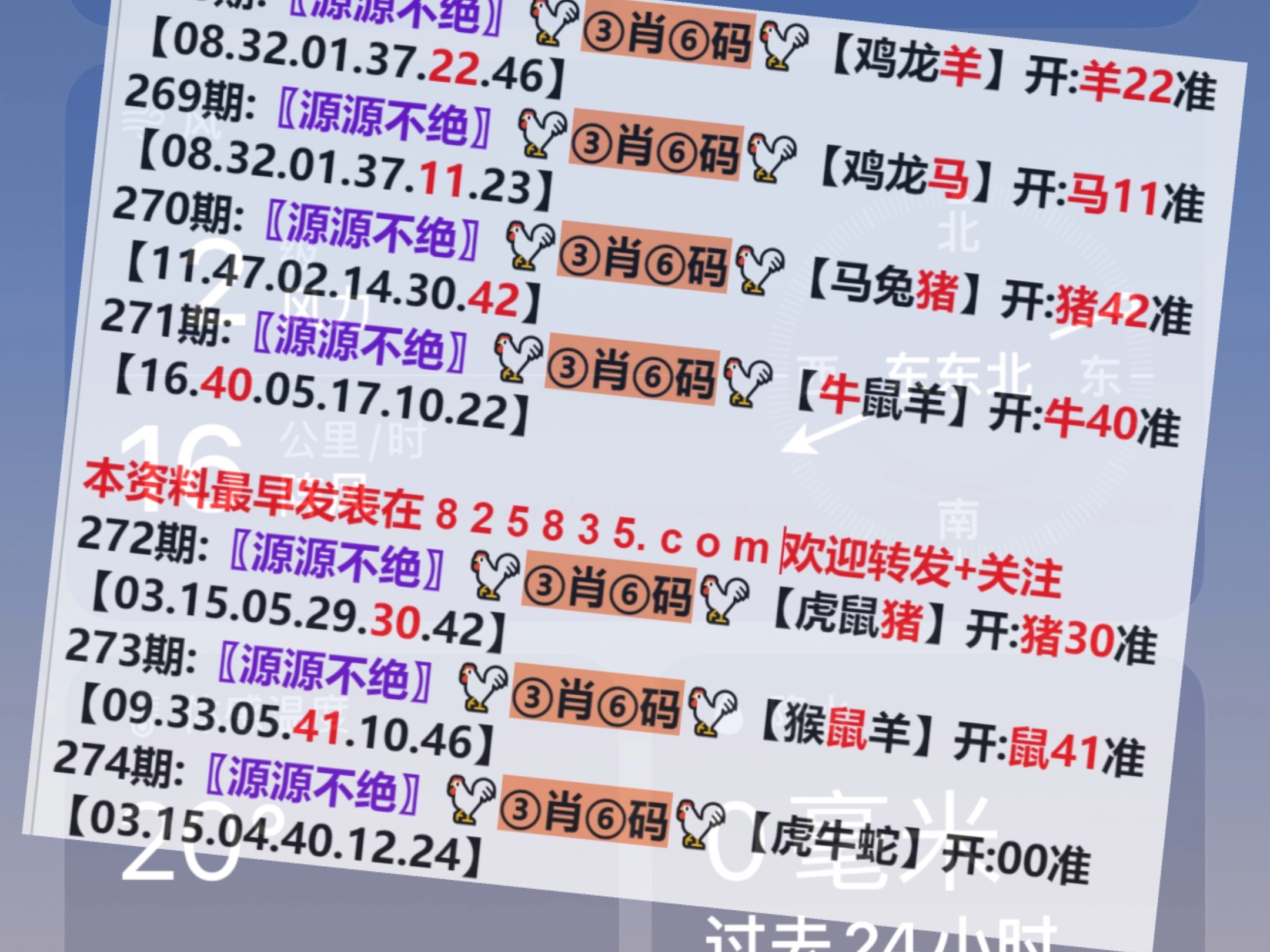 22324濠江論壇一肖一碼,結構分析解答解釋策略_X49.894