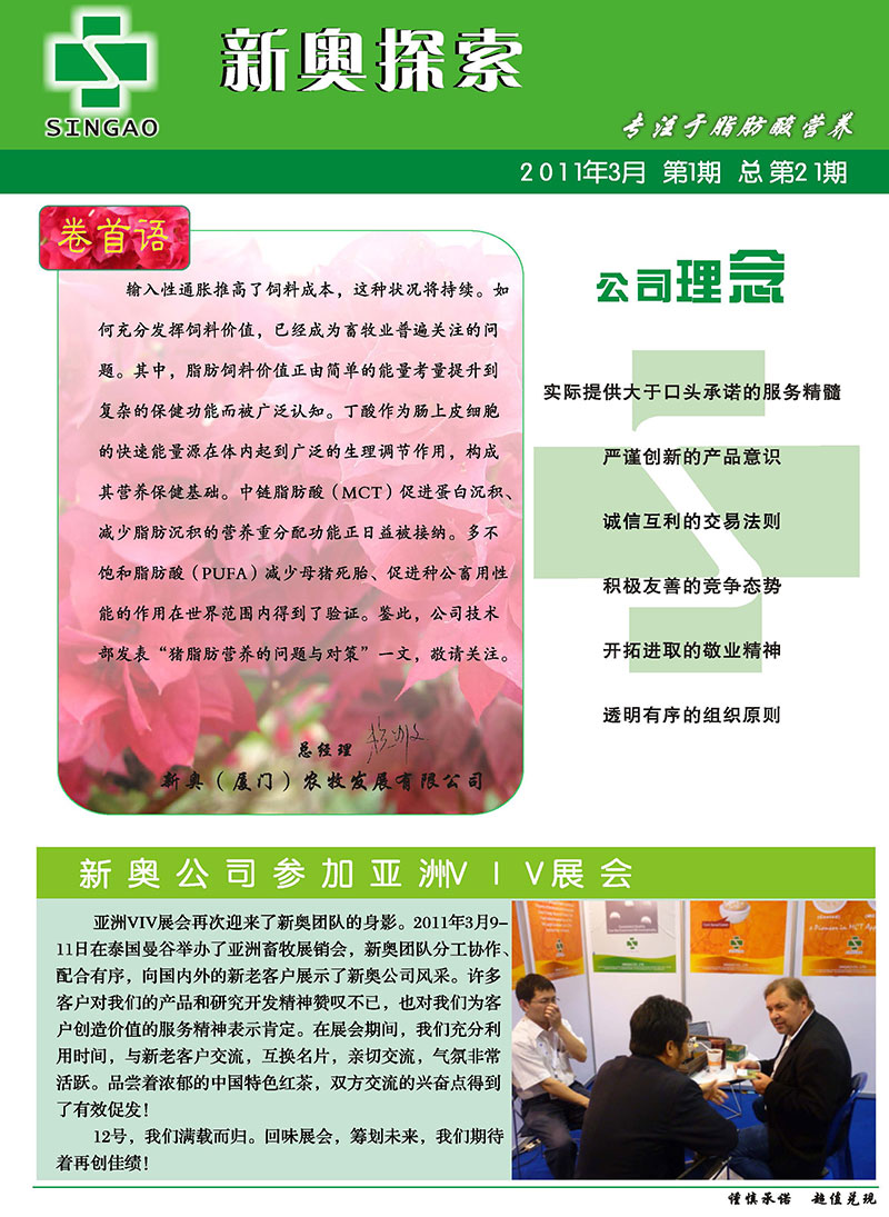 2024新奧精準正版資料,現象解答解釋定義_演變版32.828