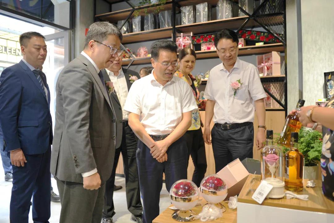 杭州灣綠地最新消息，生態(tài)建設(shè)的蓬勃發(fā)展
