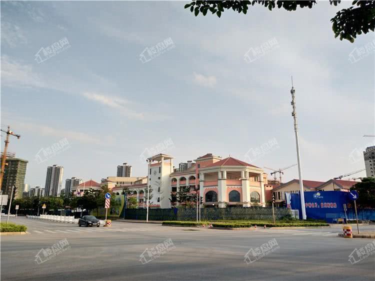 盛科城小學(xué)最新消息