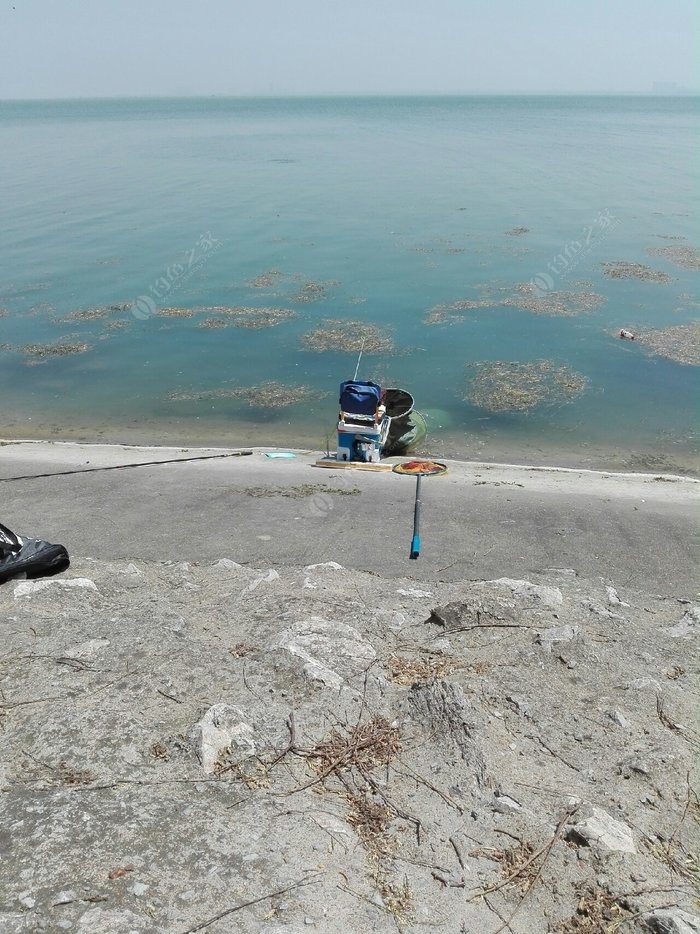 駱馬湖釣魚最新消息，探索垂釣天堂的最新動態