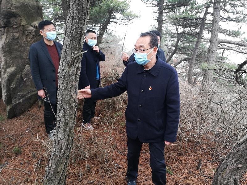 信陽最新確診，疫情挑戰與應對策略