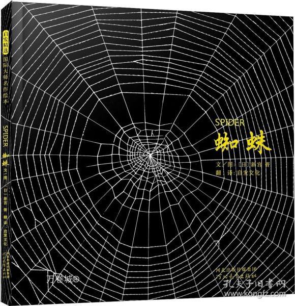 蜘蛛最新小說，探索未知世界的奇幻之旅