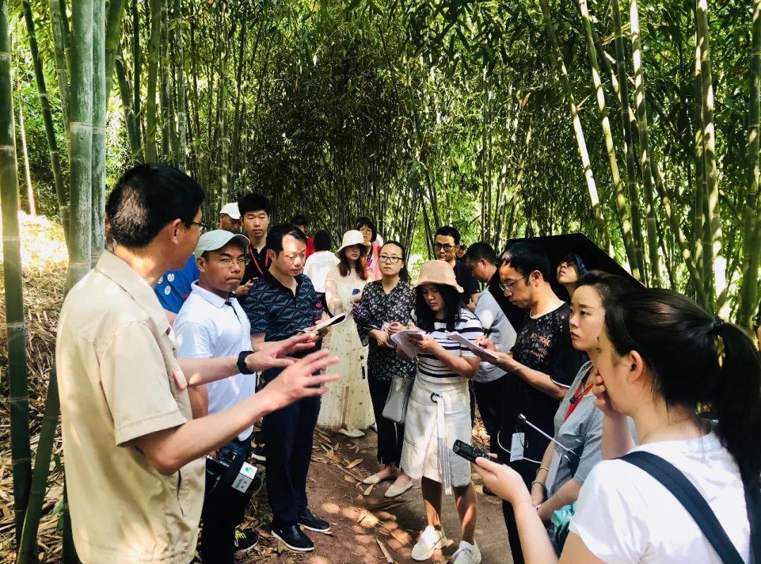 宜賓紙業最新動態，創新與發展引領行業前行