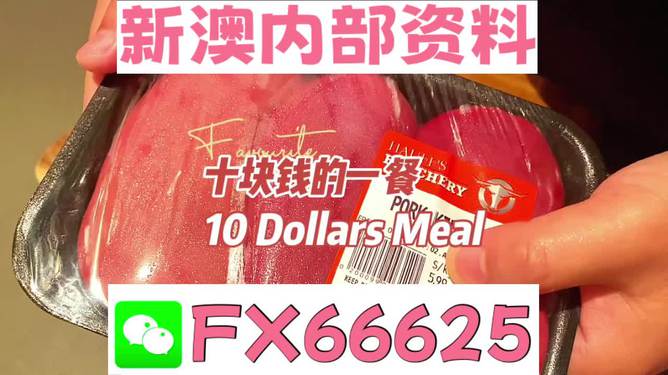 2024新澳最精準資料大全詳解