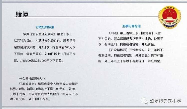 新澳天天開獎資料大全262期，警惕背后的違法犯罪風險