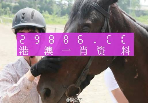 澳門(mén)一肖一碼，揭秘所謂的精準(zhǔn)王中王背后的真相