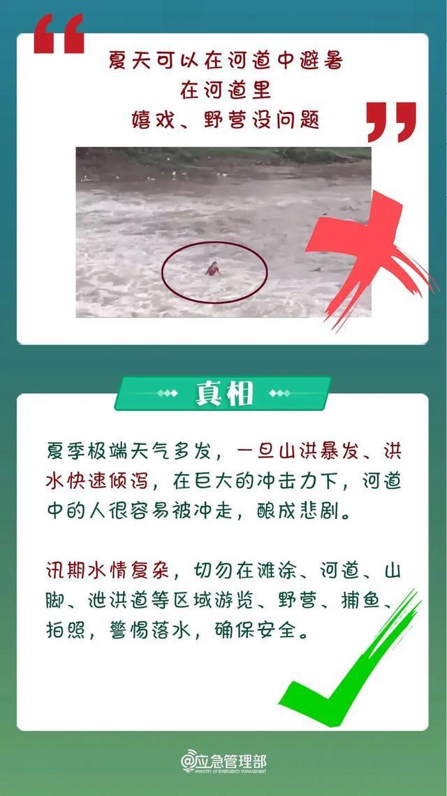 澳門平特一肖的預測與優勢，揭示背后的風險與真相