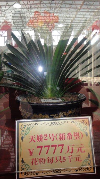 探索神秘的數字世界，7777與8888背后的故事與管管家婆傳真的奇幻之旅