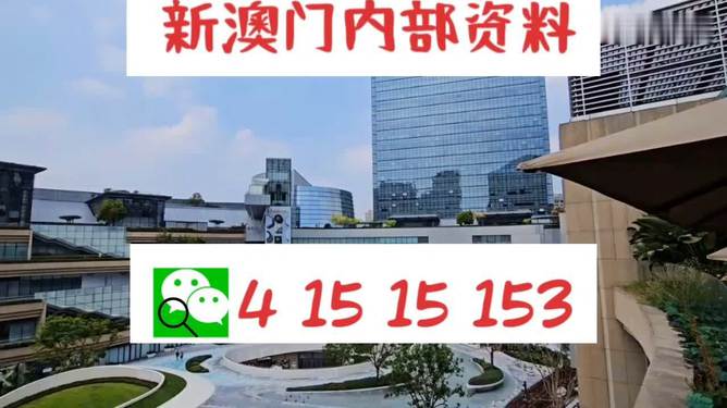 新澳門特免費資料大全與管家婆料，深度解析與探討