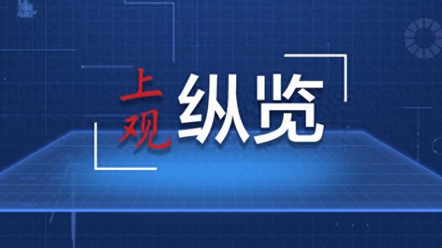 揭秘管家婆一碼一肖，精準預測的神秘面紗