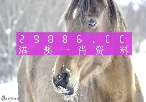 澳門一肖一碼100準免費——揭秘背后的犯罪真相