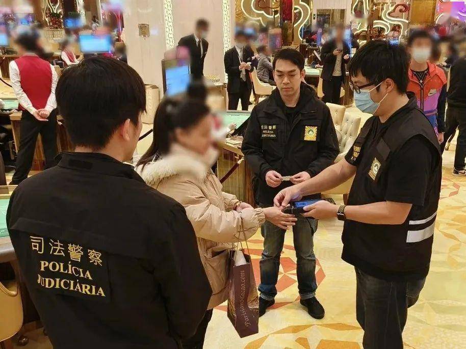 新2024年澳門天天開(kāi)好彩背后的違法犯罪問(wèn)題探討