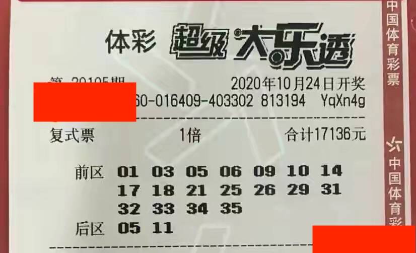 新奧門天天彩資料免費，探索彩票世界的魅力與機遇