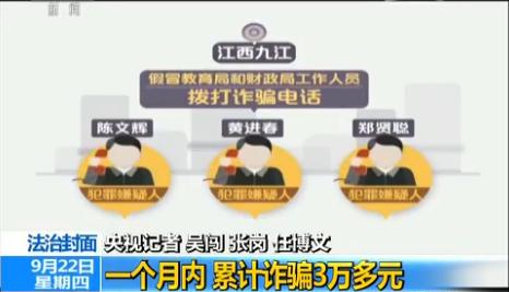 精準一肖一碼一子一中，揭示背后的犯罪問題