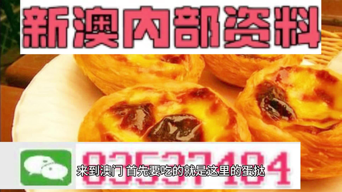 關于2024新澳正版免費資料大全的探討——警惕違法犯罪風險