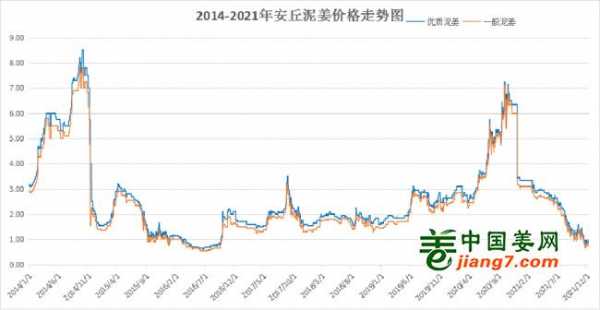 大姜最新行情分析