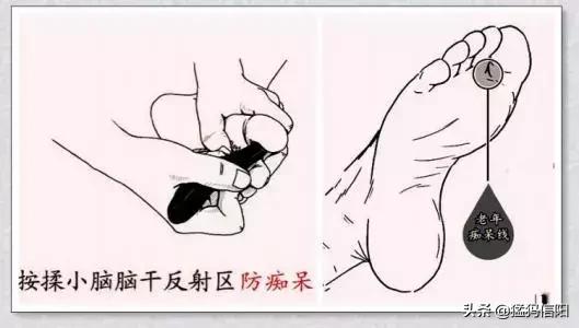 最新手指操，塑造健康生活的秘密武器