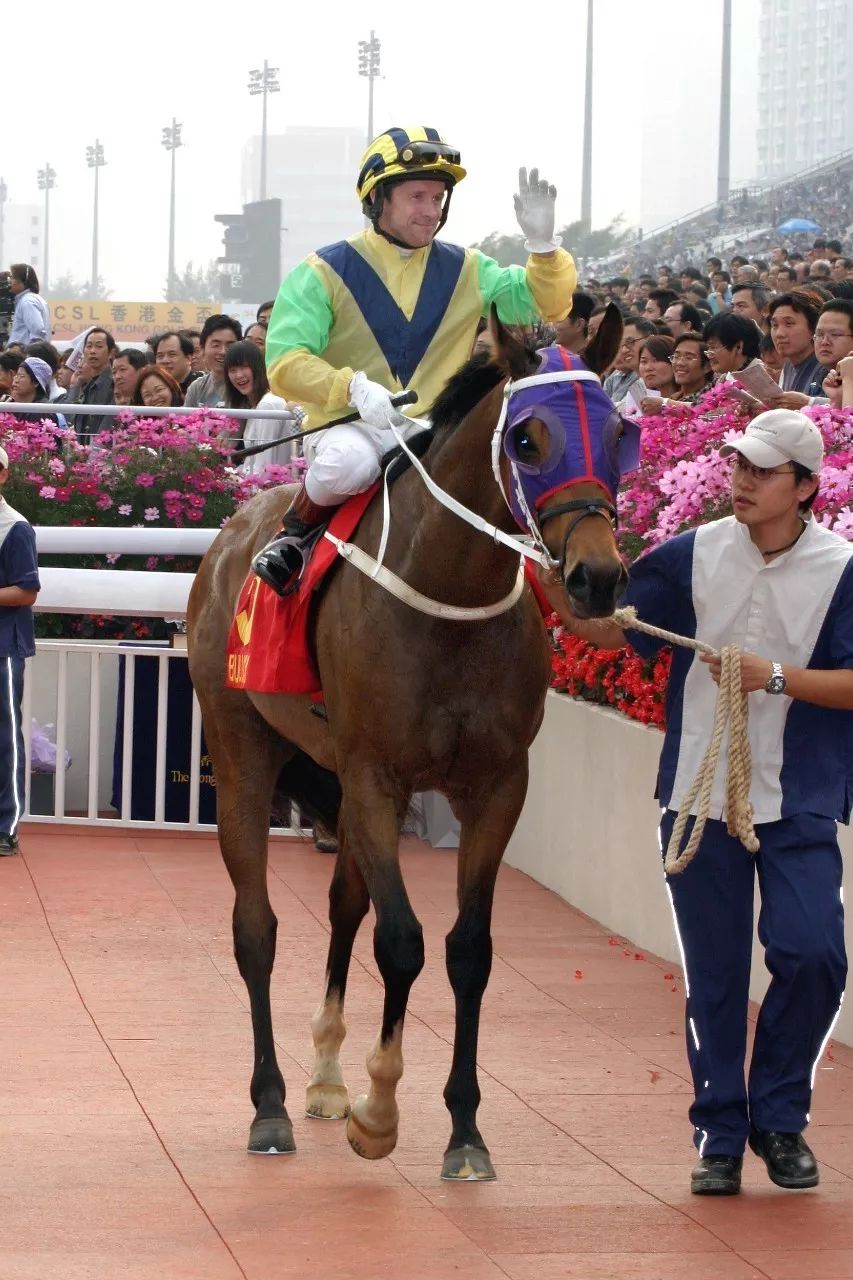 香港特馬資料王中王——揭示違法犯罪問題
