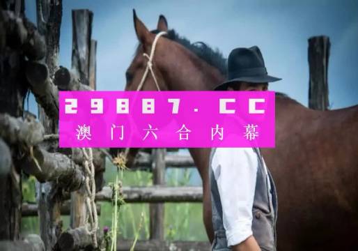 澳門精準一肖一碼一一中，揭示背后的風險與挑戰