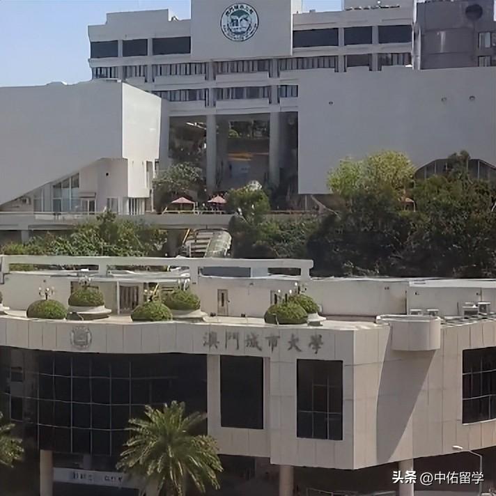關于所謂的2024新澳門正版免費資本車的虛假宣傳與違法犯罪問題探討