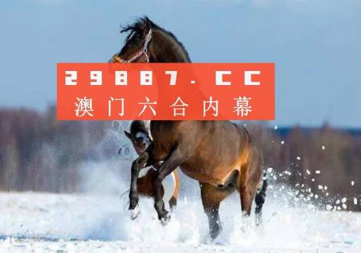 澳門今晚一肖必中特，揭示背后的風險與挑戰