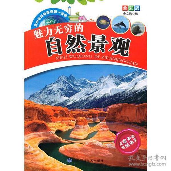 探索跑狗論壇版，777778與888888的魅力世界