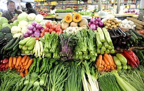 焦作蔬菜批發最新價格概覽