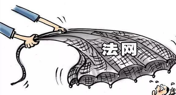 一肖一碼，揭秘背后的犯罪風險與應對之道（不少于1388字）
