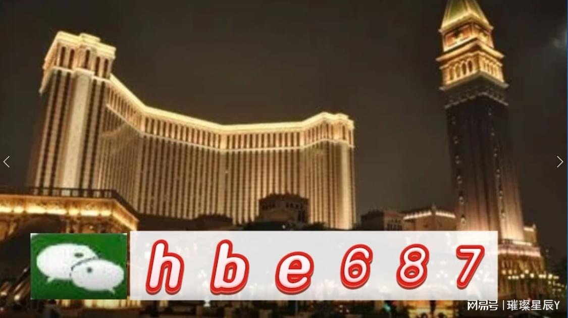 關于新澳2024正版免費資料的探討，違法犯罪問題不容忽視